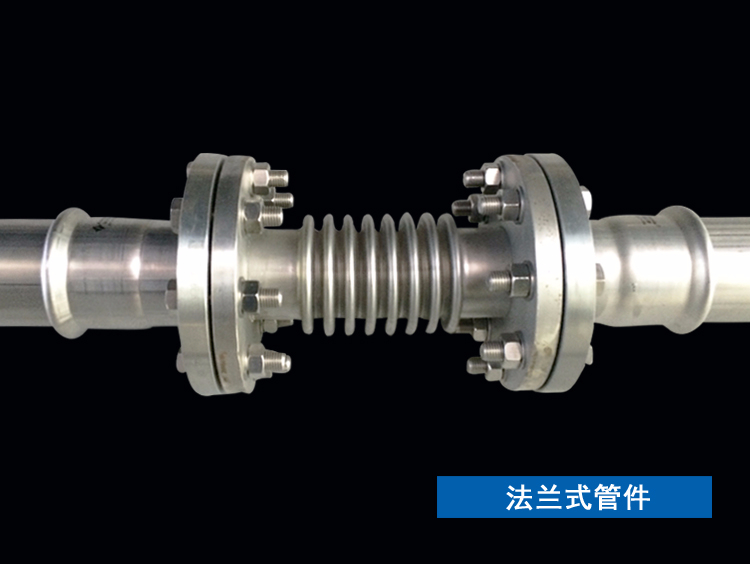 法蘭式管件